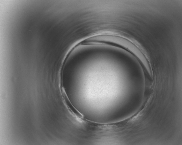 X0000062790862200512261553