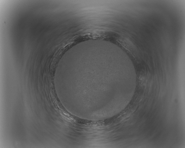 X0000062790865200512261553