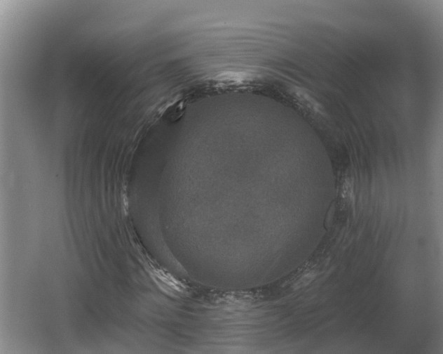 X0000062790868200512261553