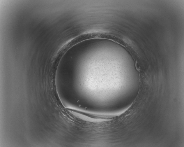 X0000062790872200512261553