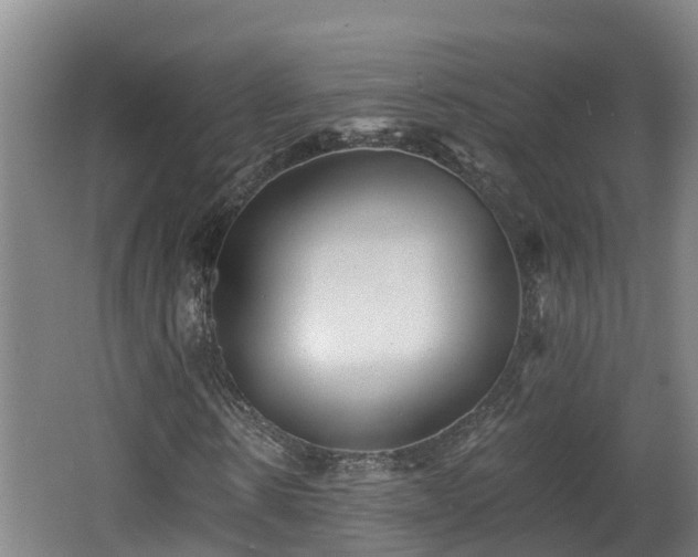 X0000062790914200512261551