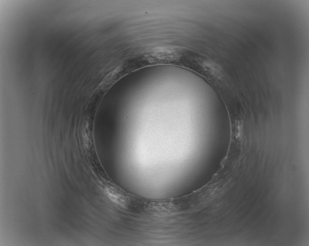 X0000062790915200512261551
