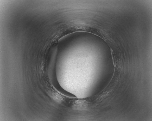 X0000062790916200512261551