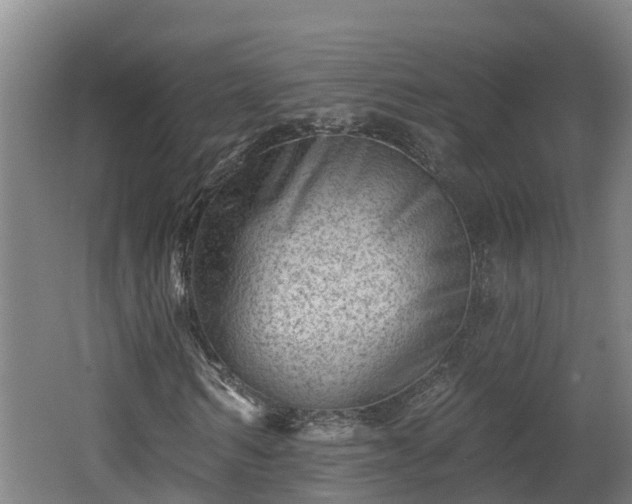 X0000062790962200512261551