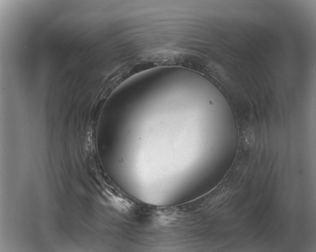 X0000062790964200512261551