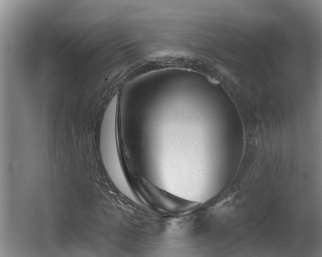 X0000062790965200512261551