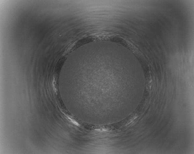 X0000062791010200512261549