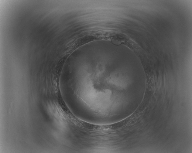X0000062791013200512261549