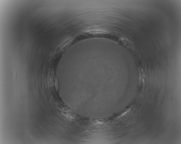 X0000062791014200512261549