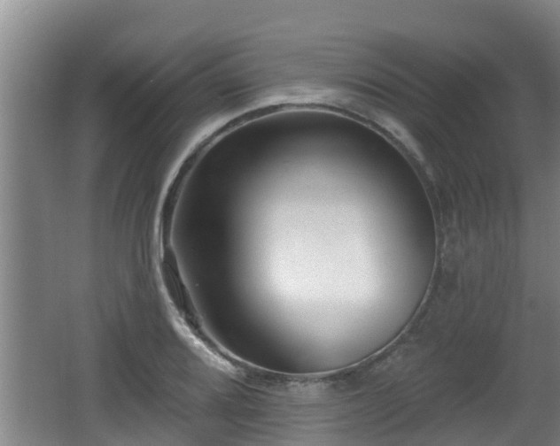 X0000062791080200512261549