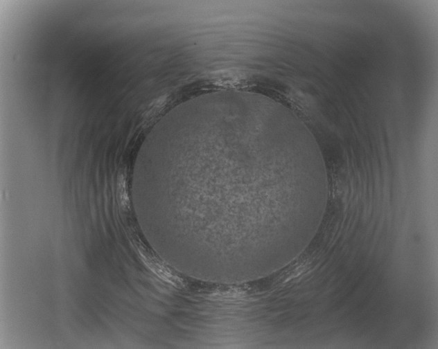 X0000062791106200512261548