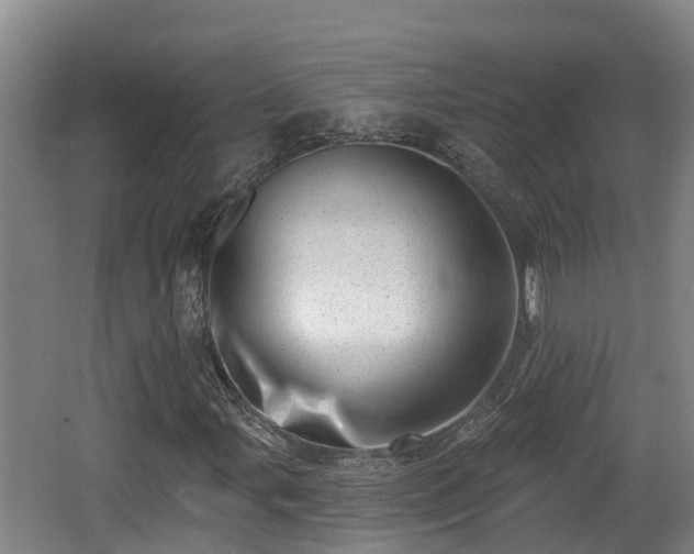 X0000062791107200512261548