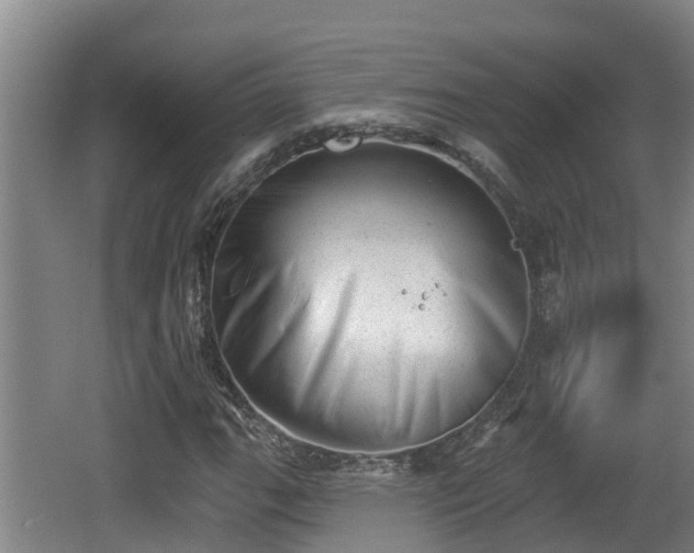 X0000062791111200512261548