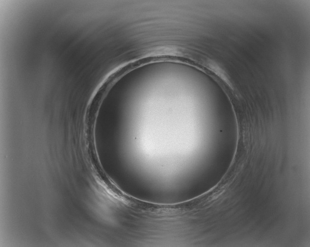 X0000062791116200512261548