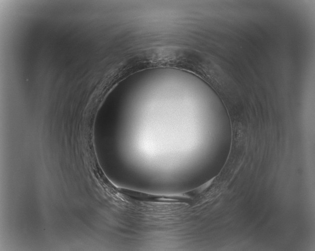 X0000062791153200512261548