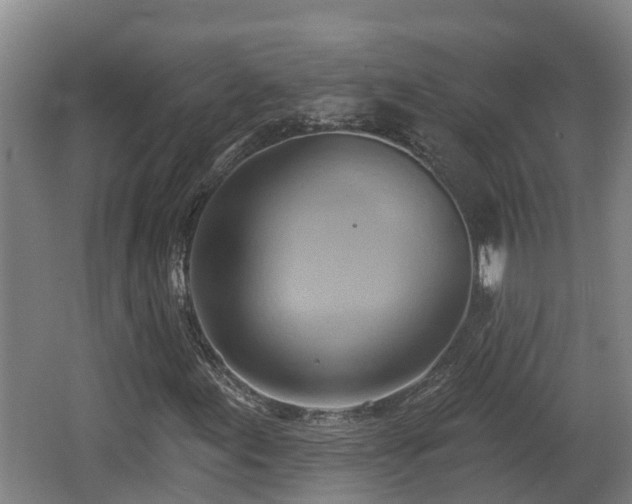 X0000062791155200512261548