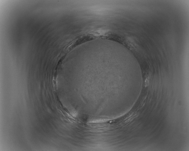 X0000062791156200512261548