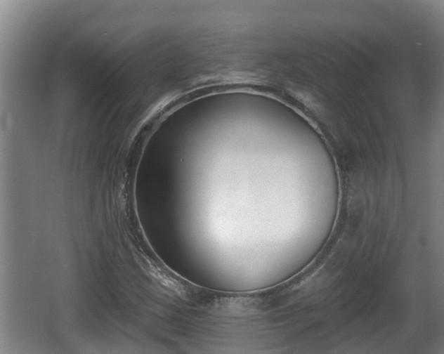 X0000062791163200512261548