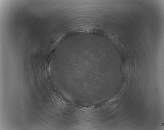 X0000062791202200512261546