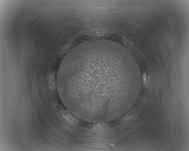 X0000062791203200512261546