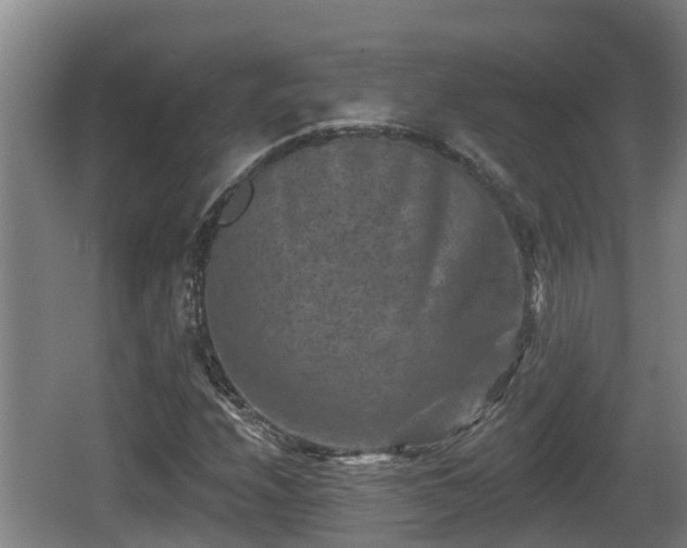 X0000062791208200512261546