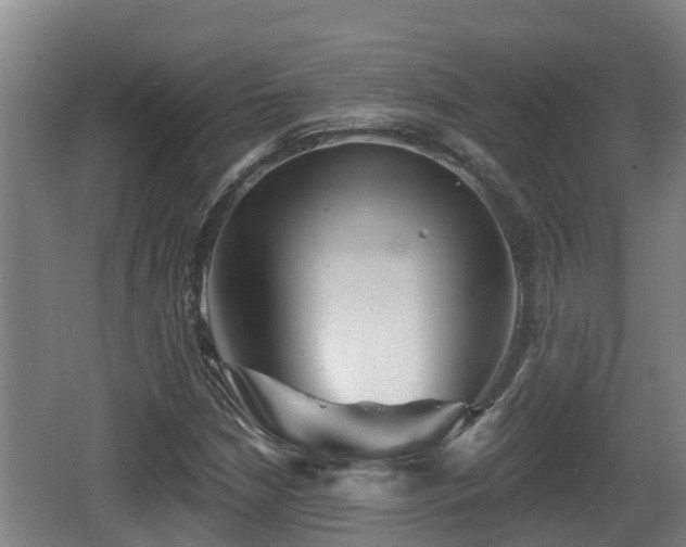 X0000062791210200512261546