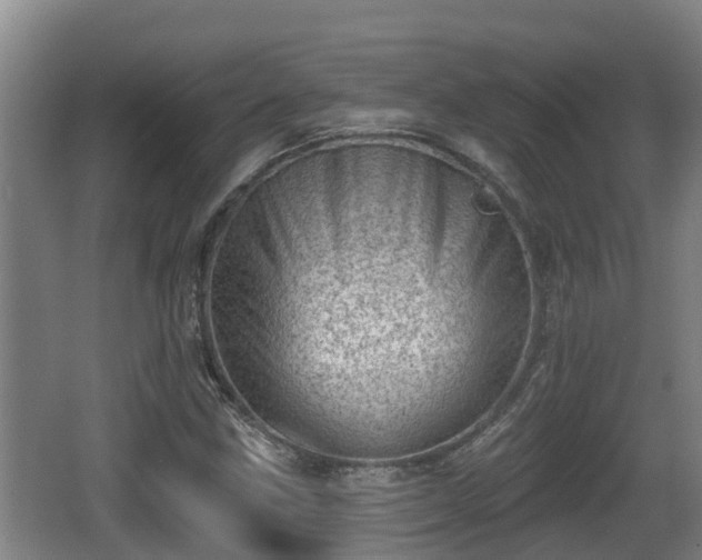 X0000062791211200512261546