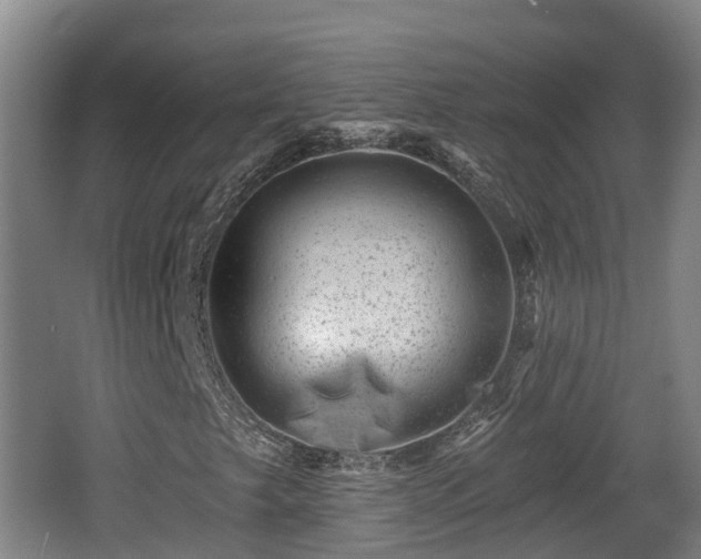 X0000062791249200512261546