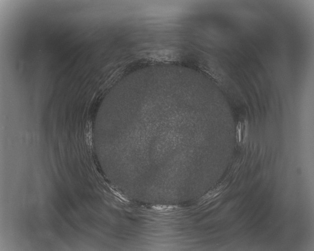 X0000062791251200512261546