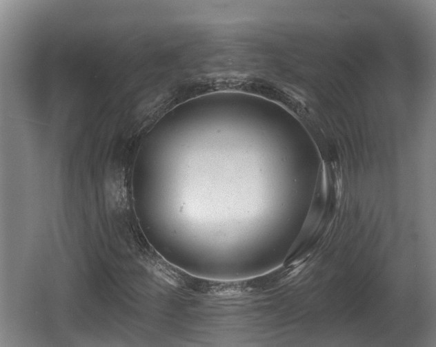 X0000062791252200512261546