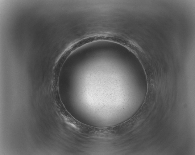 X0000062791256200512261546