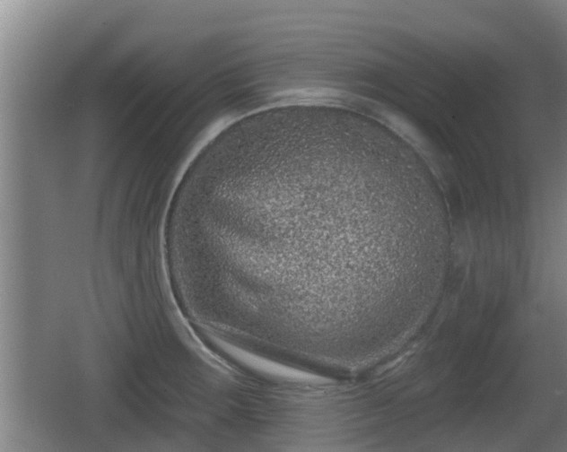 X0000062791283200512261545