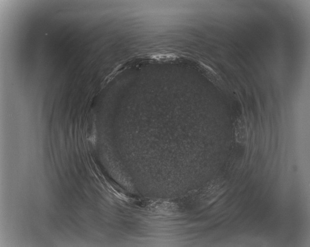 X0000062791298200512261544