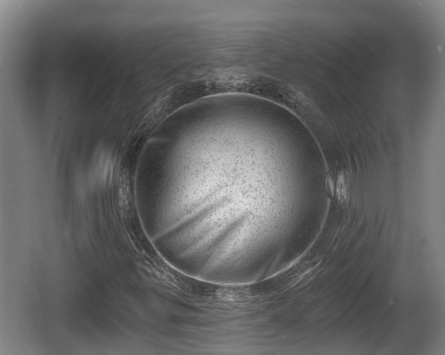 X0000062791299200512261544