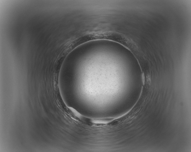 X0000062791300200512261544