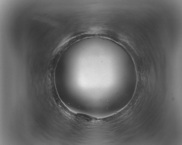 X0000062791304200512261545