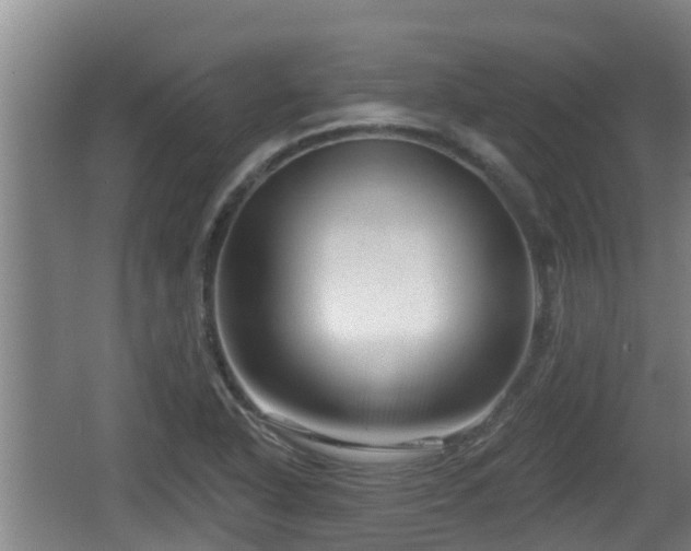 X0000062791318200512261545