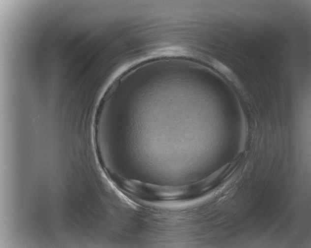 X0000062791334200512261545