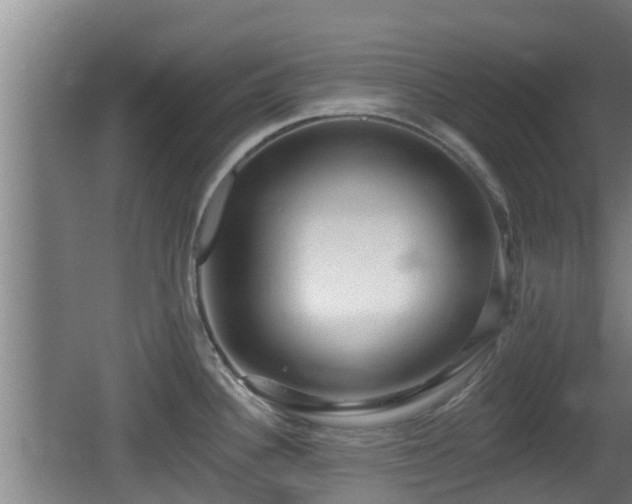 X0000062791340200512261545