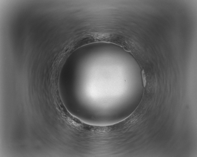 X0000062791345200512261544