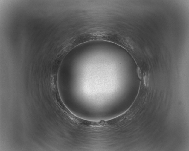 X0000062791347200512261544