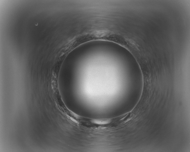 X0000062791349200512261544