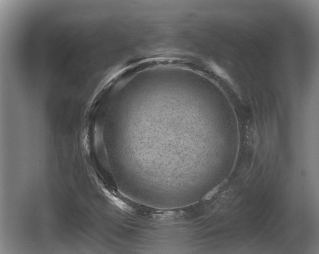X0000062791352200512261544