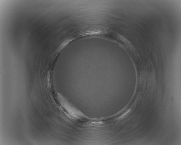 X0000062791353200512261544