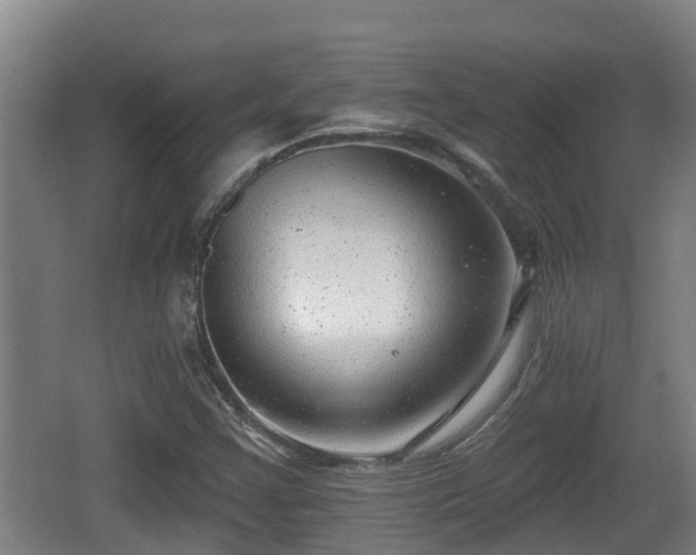 X0000062791355200512261544