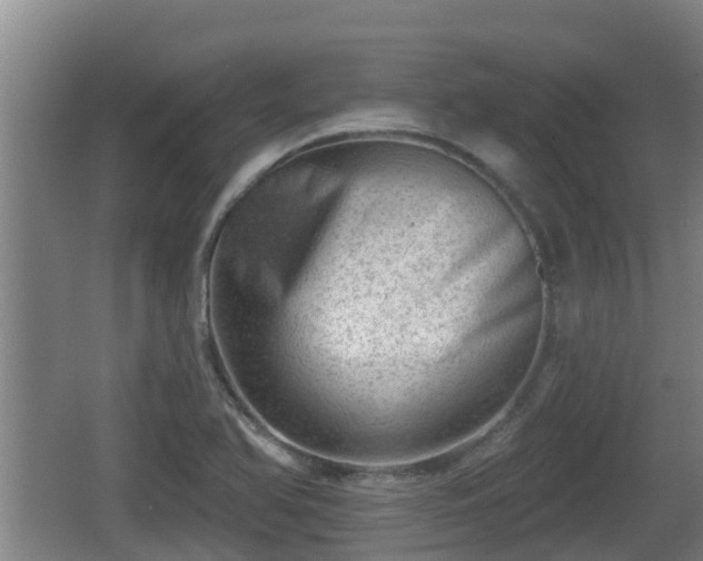 X0000062791366200512261544