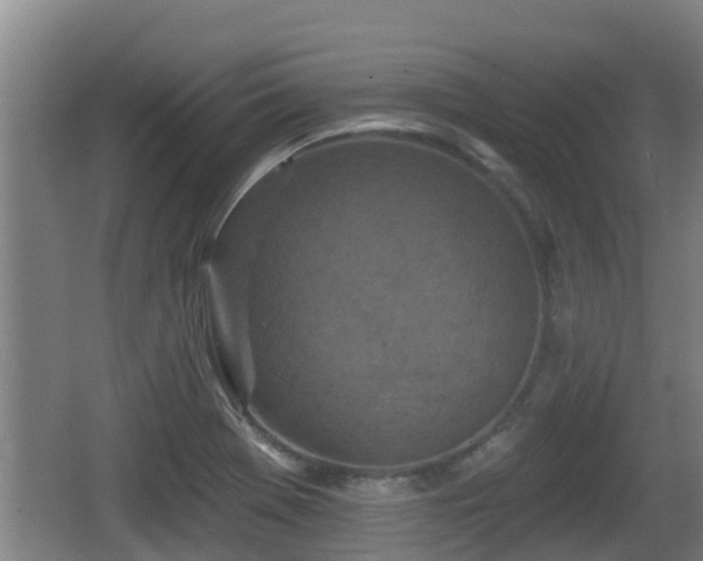 X0000062791369200512261544