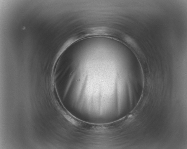 X0000062791370200512261544