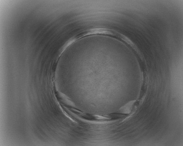 X0000062791377200512261544