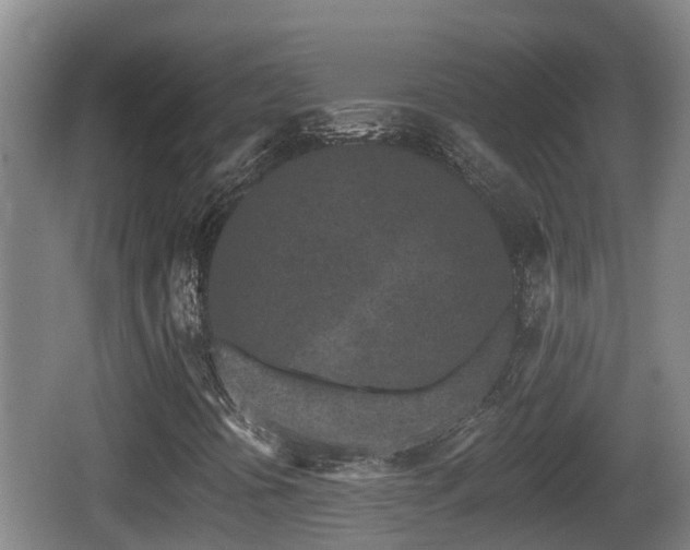 X0000062791394200512261543